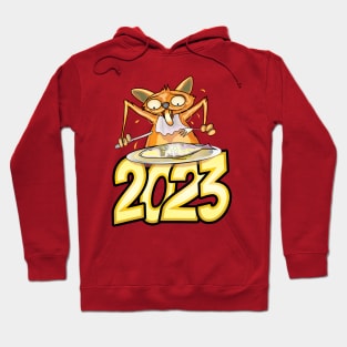 Happy New Year Cats 2023 Hoodie